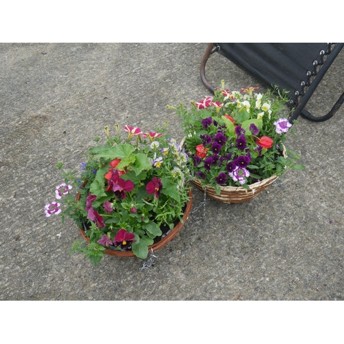 104 - 2 HANGING BASKETS