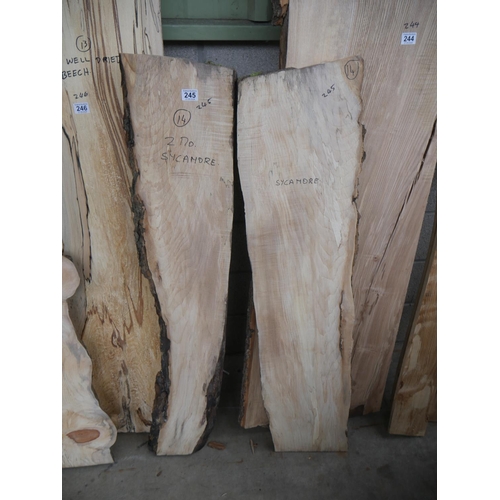 245 - 2 PIECES OF SYCAMORE