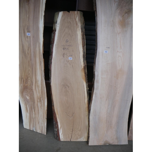 255 - SLAB OF OAK