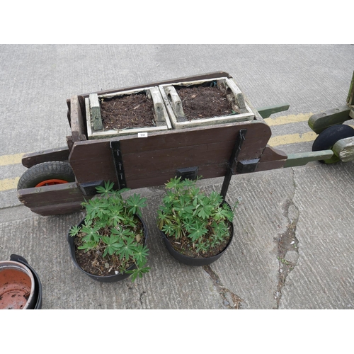 90 - WHEELBARROW PLANTER & 2 HANGING BASKETS