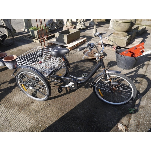 84 - ADULT TRIKE