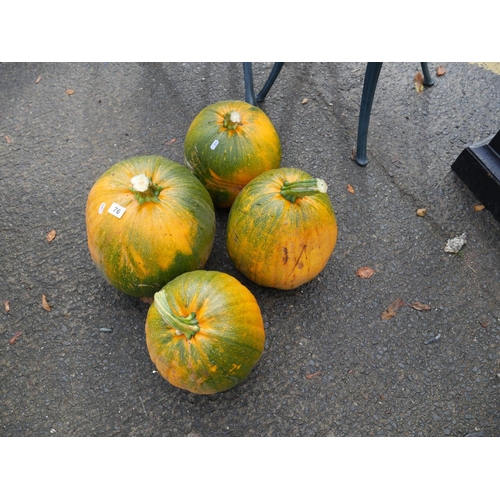 76 - 4 PUMPKINS