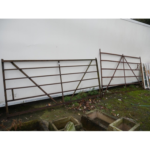 11 - 2 METAL FIELD GATES