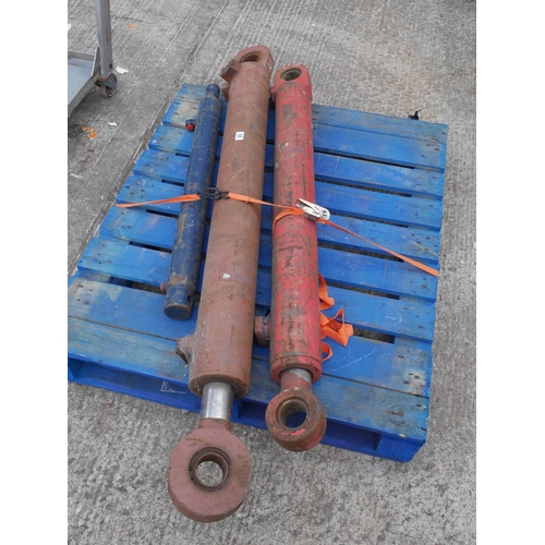Lot 55        