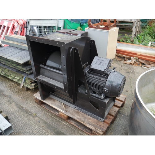 Lot 29        