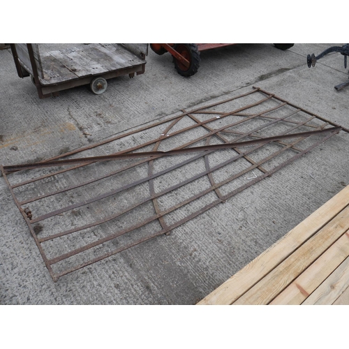 Lot 23        
