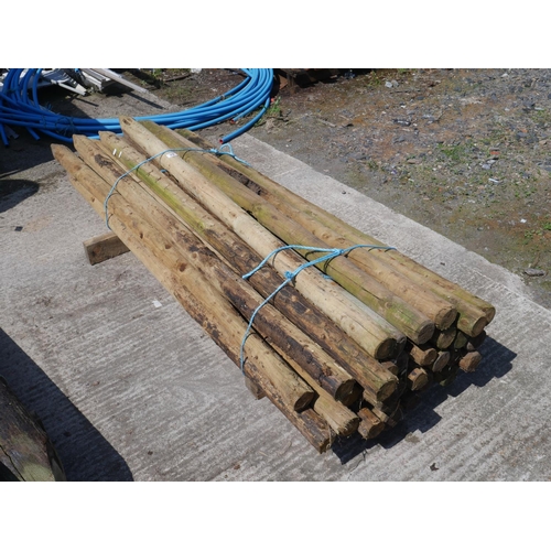 Lot 29        