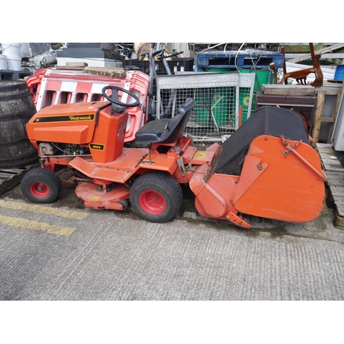 Lot 38        