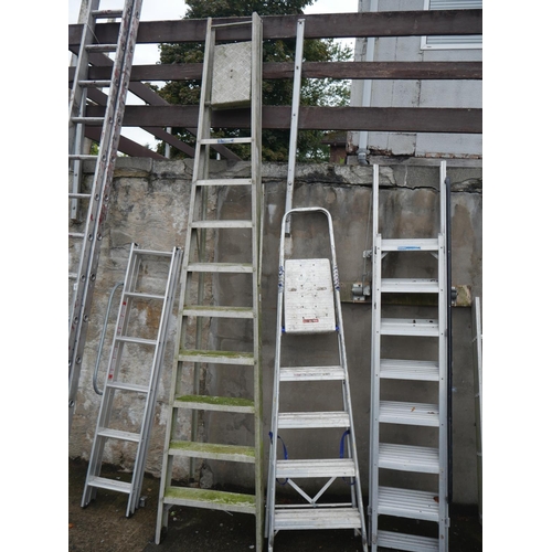 192 - 2X STEPLADDERS