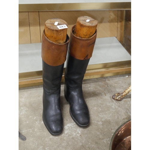443 - RIDING BOOTS AND TREES