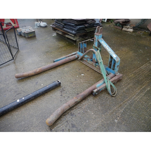 Lot 55        