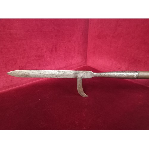 59 - IRISH FIGHTING PIKE TOTAL HEIGHT 73 INCHES