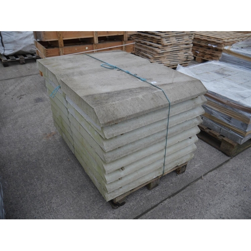 Lot 21        