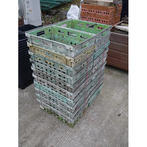 Lot 32        