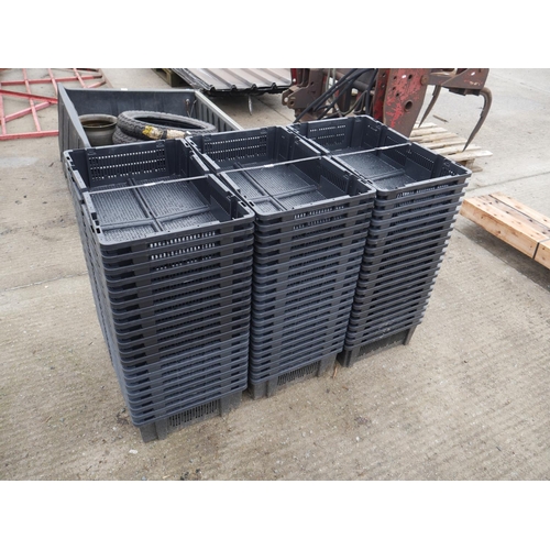 Lot 20        