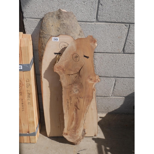 249 - PIECE OF BEECH AND PIECE OF ELM