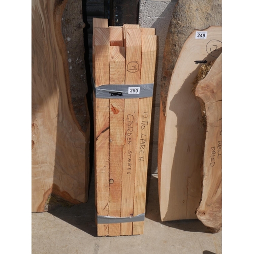 250 - 12 GARDEN STAKES