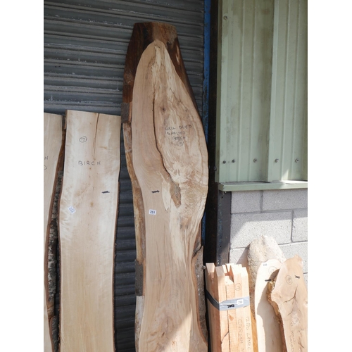 251 - PIECE OF SPALTED BEECH
