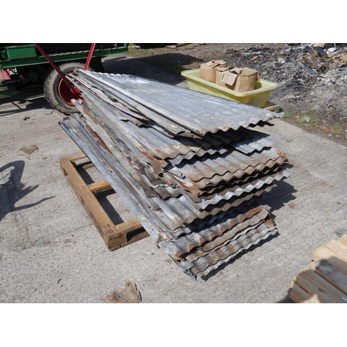 Lot 8         
