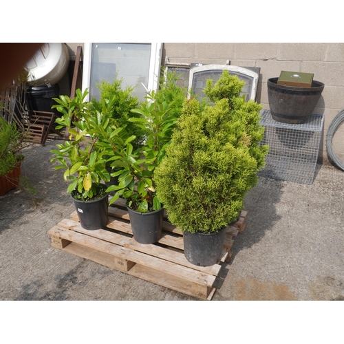 Lot 57        