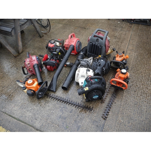 Lot 53        