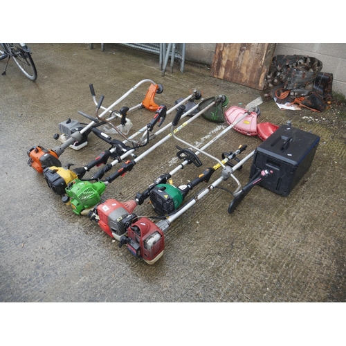 Lot 59        