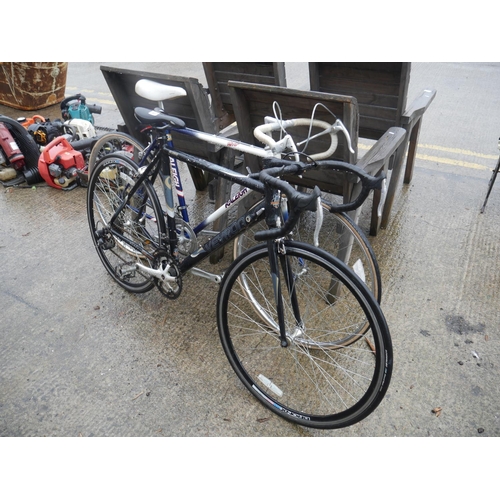 Lot 60        