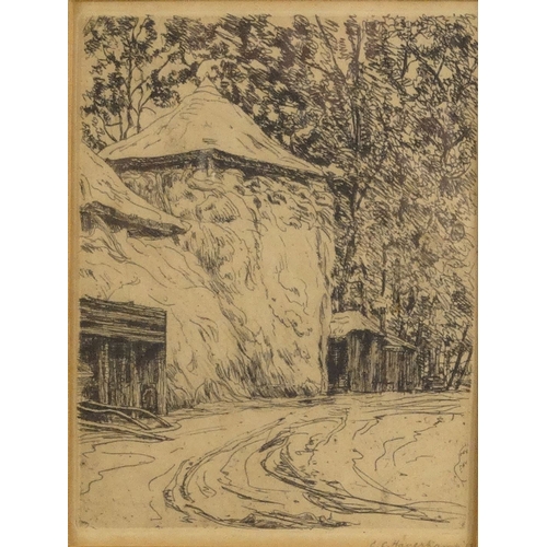 1207 - G.C. Haverkamp 12 - Etching of Continental houses in woods, contemporary mounted and framed, 16cm x ... 