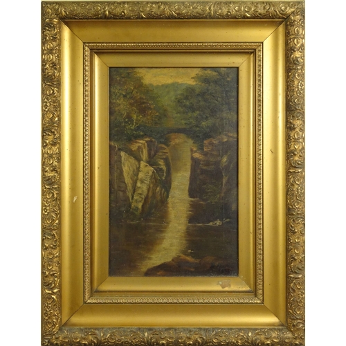 1227 - V. Allerton - Pair of oil onto canvas of waterfalls, contemporary mounted in gilt frames, 40cm x 24c... 