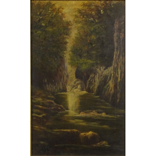 1227 - V. Allerton - Pair of oil onto canvas of waterfalls, contemporary mounted in gilt frames, 40cm x 24c... 