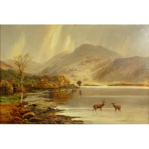 1200 - Clarence Roe - Oil onto canvas view of a lake with deer before mountains, gilt framed, 75cm x 49cm e... 