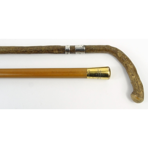443 - Military interest Brigg of London gilt silver topped walking stick presented by the US Food Commissi... 