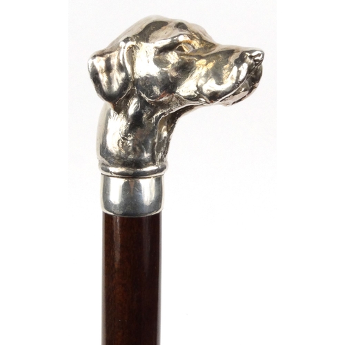 141 - Wooden walking stick with silver dog's head terminal, hallmarked Birmingham 1995, 94cm long