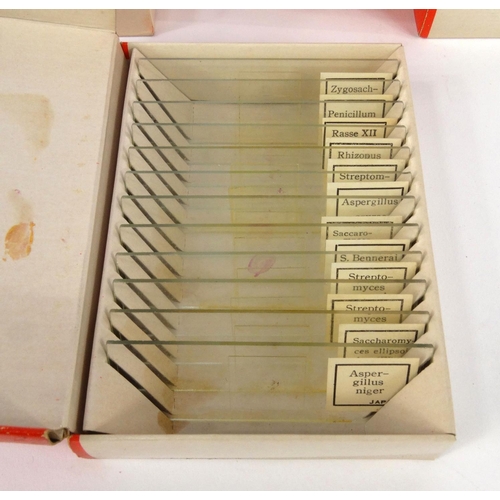 16 - Five boxes of prepared slides - micro-organisms, bacteria, structure of blood, silk worm and mould a... 