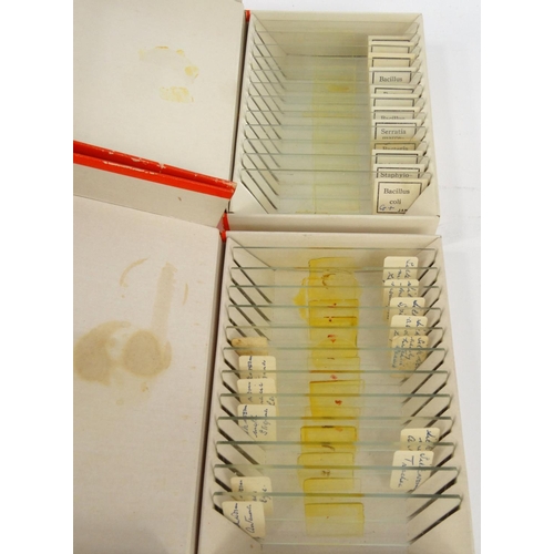 16 - Five boxes of prepared slides - micro-organisms, bacteria, structure of blood, silk worm and mould a... 