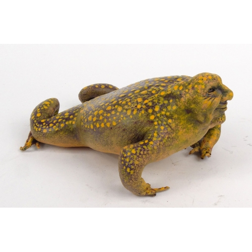 229 - Novelty interest painted leather toad with ugly face, 20cm diameter