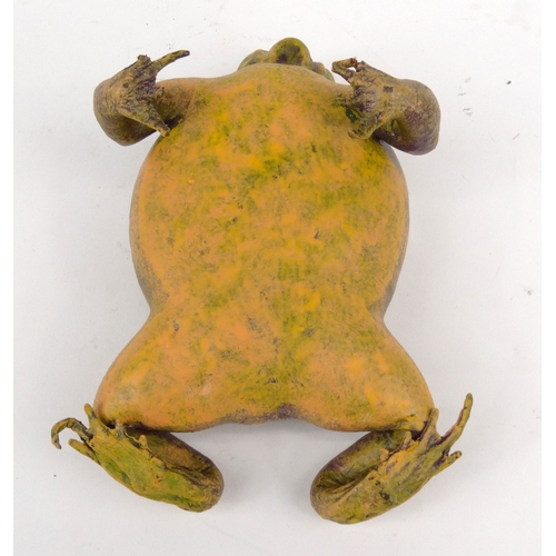 229 - Novelty interest painted leather toad with ugly face, 20cm diameter