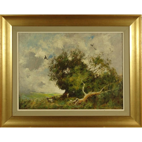 1347 - John Howard Hale - Oil onto board of a trees before a landscape setting, paper labels to the reverse... 