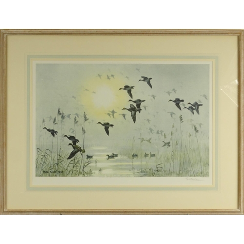 1316 - Peter Scott - Pencil signed print titled 'Wigeon On A Misty Morning', with printer's blind stamps, p... 