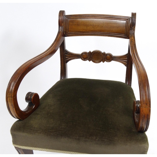 28 - Regency mahogany elbow chair with scroll arms