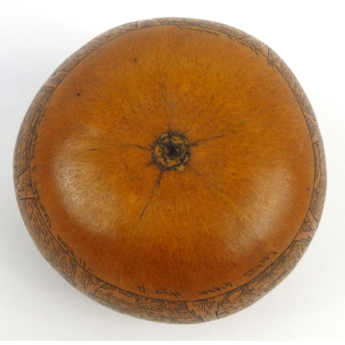 403 - Victorian penwork nut with scenes of storytelling, 10cm diameter