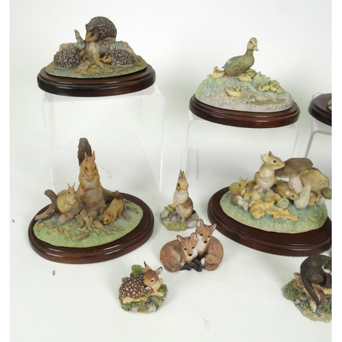 542 - Collection of Border Fine Art figures including badgers, rabbits, squirrels, foxes, etc