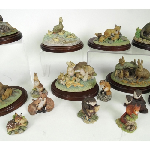 542 - Collection of Border Fine Art figures including badgers, rabbits, squirrels, foxes, etc