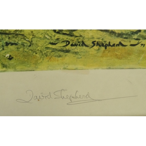 117 - Large pencil signed limited edition David Shepherd print, framed, 105cm x 55cm excluding the frame