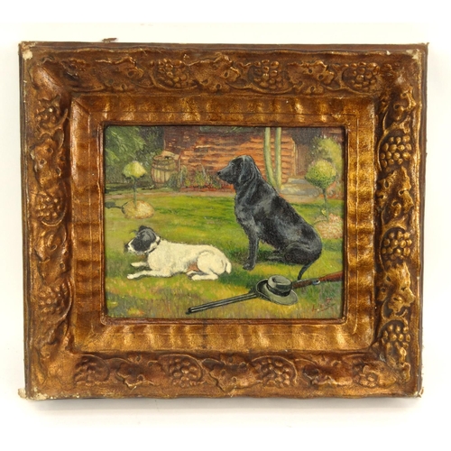 41 - Modern British oil onto board of two seated dogs, mounted and framed, 38cm x 28cm excluding the moun... 