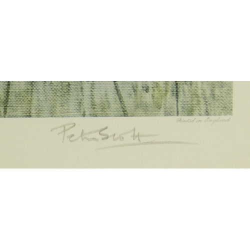 259 - Peter Scott - Pencil signed print titled 'Wigeon On A Misty Morning', with printer's blind stamps, p... 