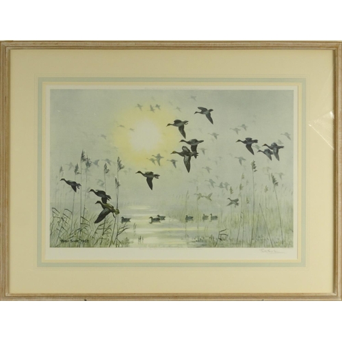 259 - Peter Scott - Pencil signed print titled 'Wigeon On A Misty Morning', with printer's blind stamps, p... 