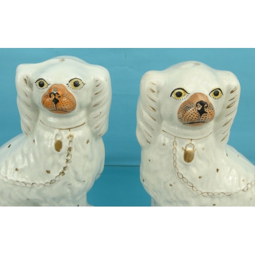 198 - Pair of Victorian Staffordshire seated spaniels, 24cm high