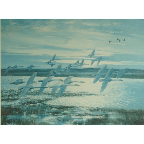 114 - Peter Scott - Pencil signed limited edition print titled 'Whooper Swans At Morning Flight', numbered... 