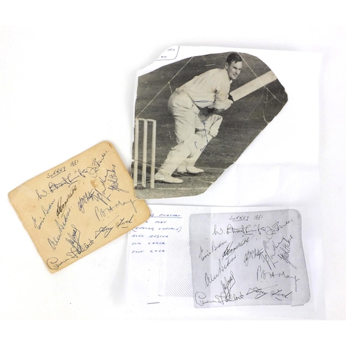 202 - Selection of 1951 Surrey Cricket team autographs including Peter May, Alec Bedser, Jim Laker and Ton... 
